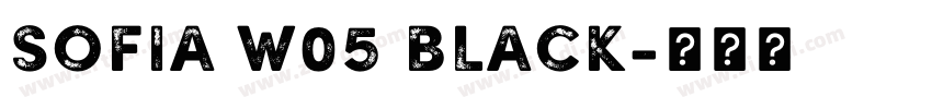 Sofia W05 Black字体转换